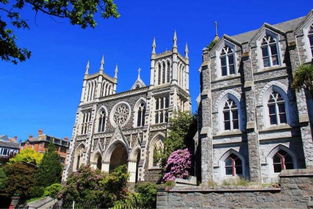 夢想照進(jìn)現(xiàn)實 在新西蘭學(xué)習(xí)動漫技術(shù)開發(fā)，踏上成為下一個宮崎駿的旅程